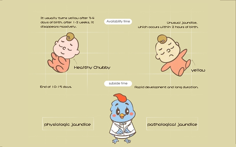 What are the causes of neonatal jaundice?